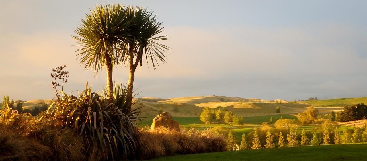 Tree House Lodge Bed & Breakfast Cheviot Buitenkant foto