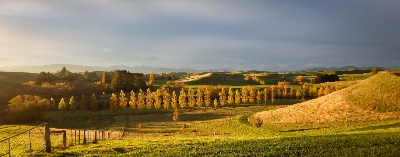 Tree House Lodge Bed & Breakfast Cheviot Buitenkant foto