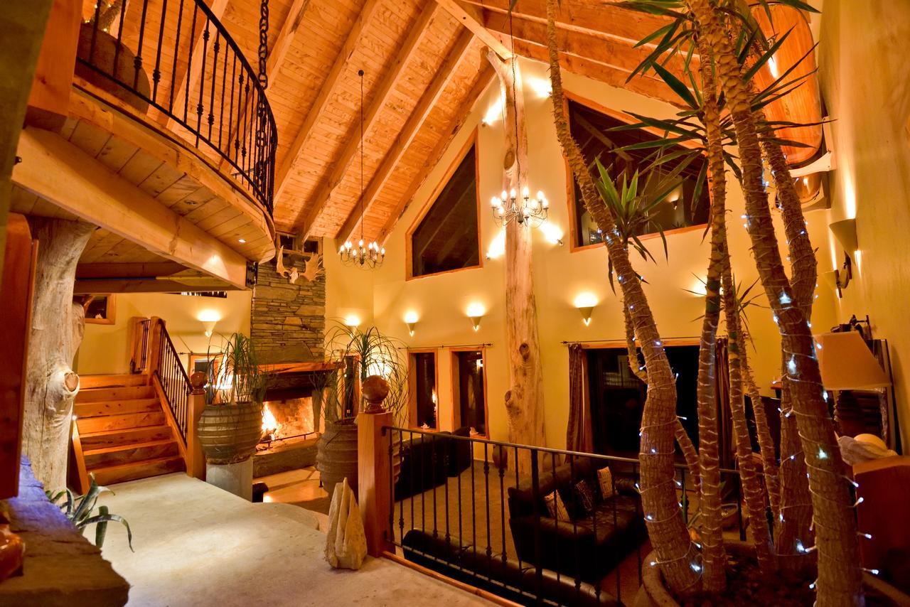 Tree House Lodge Bed & Breakfast Cheviot Buitenkant foto