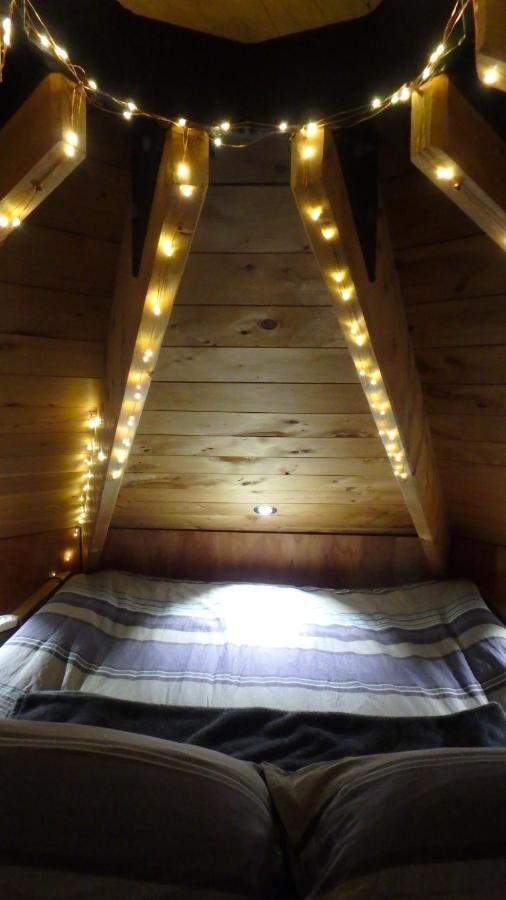 Tree House Lodge Bed & Breakfast Cheviot Buitenkant foto