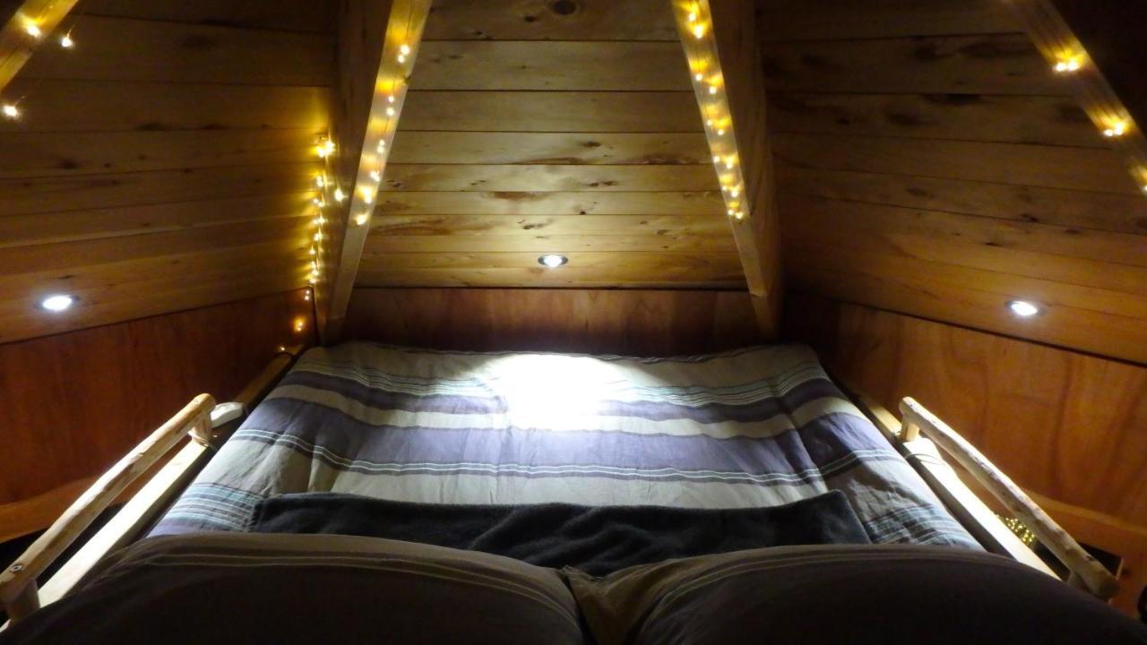 Tree House Lodge Bed & Breakfast Cheviot Buitenkant foto
